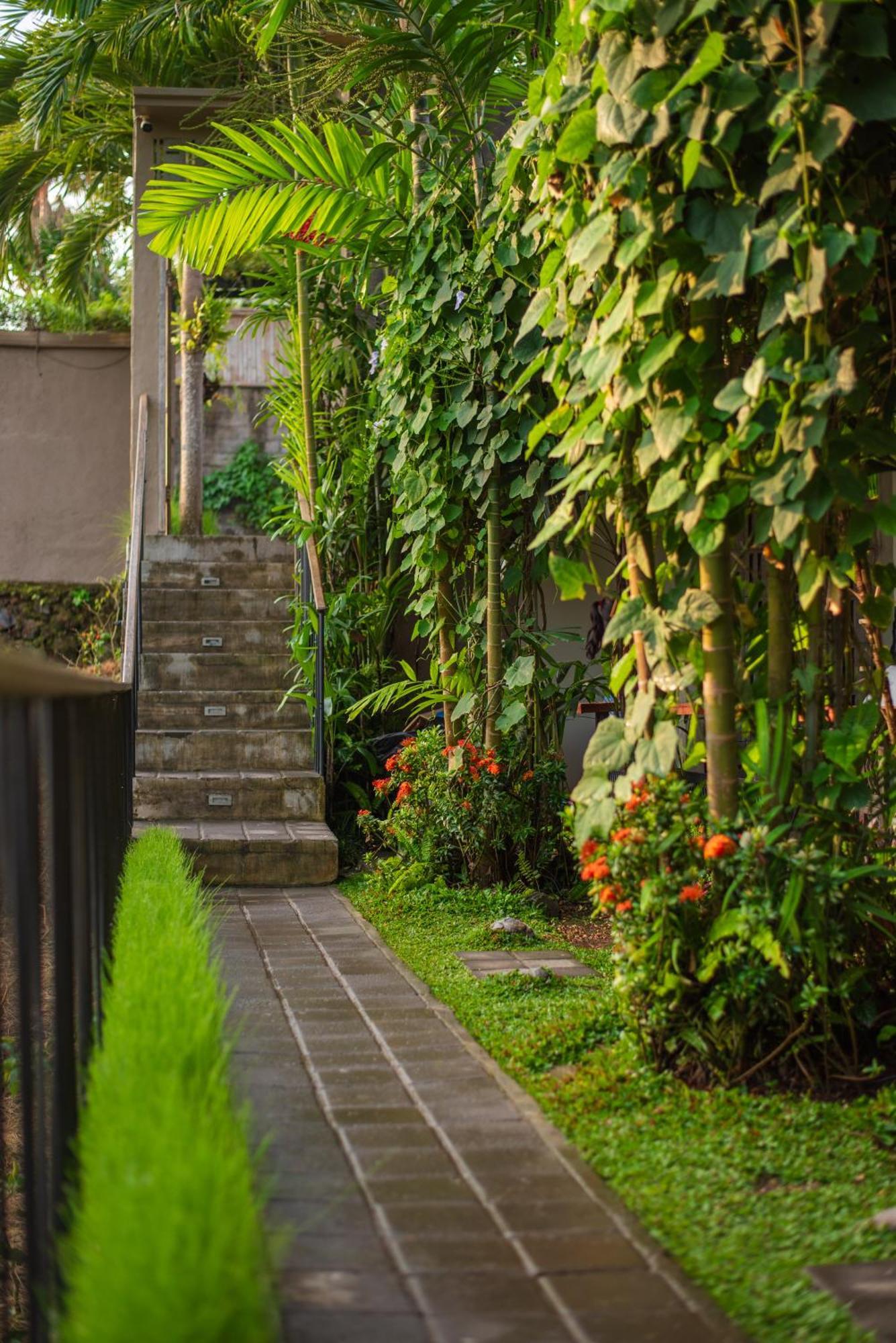 Pangkung Sari Bed And Breakfast チャングー エクステリア 写真