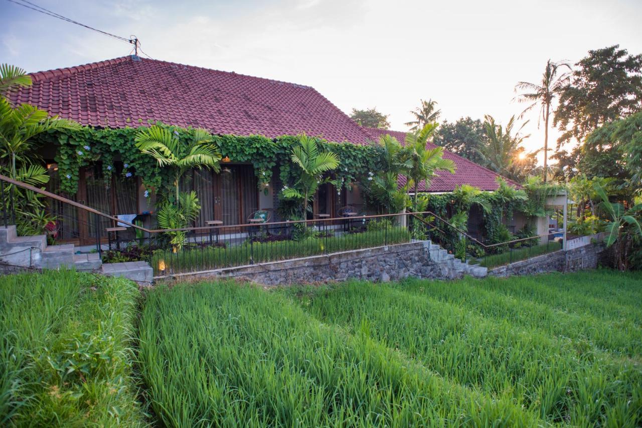 Pangkung Sari Bed And Breakfast チャングー エクステリア 写真